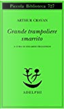 Grande trampoliere smarrito by Arthur Cravan