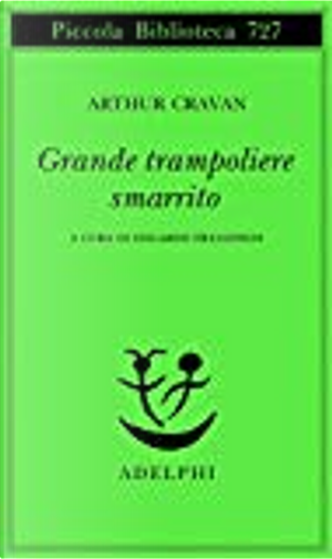 Grande trampoliere smarrito by Arthur Cravan