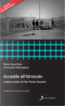 Accadde all'Idroscalo by Armando Palmegiani, Fabio Sanvitale