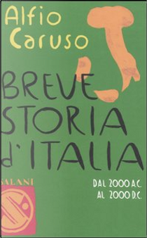 Breve storia d'Italia by Alfio Caruso
