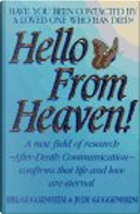 Hello from Heaven by Bill Guggenheim