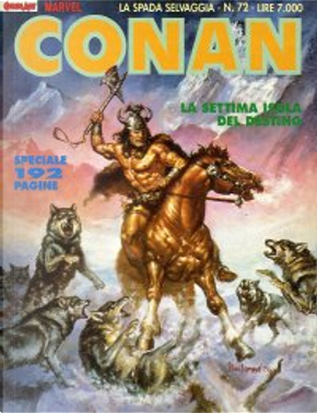 Conan la spada selvaggia n. 72 by Jim Owsley, Larry Yakata, Michael Fliescher