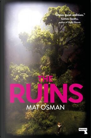 The Ruins by Mat Osman