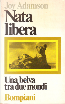 Joy adamson william percy essay 07 image