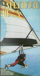 Caleidoscopio 28 by Angelo Cortesi, Angelo Quarenghi, Carlo Mauri, Cristina Pauly, Daniela Hamaui, Donatella Cantani, Franco Busnelli, Giuliana Bianchi, Giuseppe Fassina, Jacopo Gardella, Lina Fantelli, Mario Perego, Mirella Lippolis, Paolo Carloni, Paolo Mereghetti, Pierluigi Rolando, Sergio Carpinelli