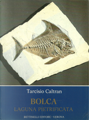Bolca by Tarcisio Caltran