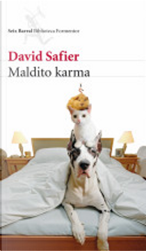 Maldito Karma by David Safier