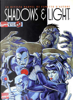 Shadows & Light vol. 1 by Bernie Wrightson, Dan Abnett, Gerard Jones, Ron Marz