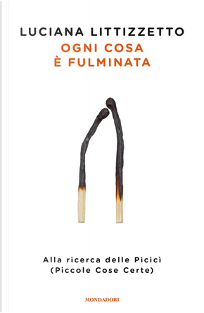 Ogni cosa è fulminata by Luciana Littizzetto