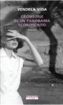 Geometrie di un panorama sconosciuto by Vendela Vida