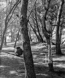 Capri-Revolution. Dall’Isola Azzurra al Parco del Cilento by Mario Spada