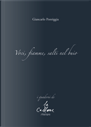 Voci, fiamme, salti nel buio by Giancarlo Pontiggia