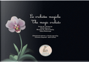 Le orchidee magiche-The magic orchids by Matteo Ricevuto