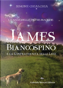 James Biancospino e la confraternita della luce. La saga delle pietre magiche by Simone Chialchia
