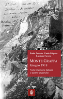 Monte Grappa giugno 1918. Nelle memorie italiane e austro-ungariche by Paolo Pozzato, Paolo Volpato