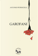 Garofani by Antonio Petrocelli