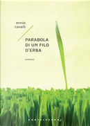 Parabola di un filo d'erba by Ennio Cavalli