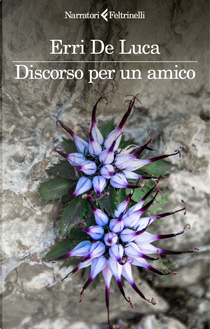 Discorso per un amico by Erri De Luca