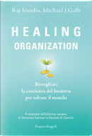 Healing organization. Risvegliare la coscienza del business per salvare il mondo by Michael J. Gelb, Raj Sisodia