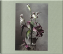 Christopher Broadbent. Quel che rimane by Laura Leonelli, Philippe Daverio