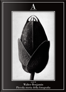 Piccola storia della fotografia by Walter Benjamin