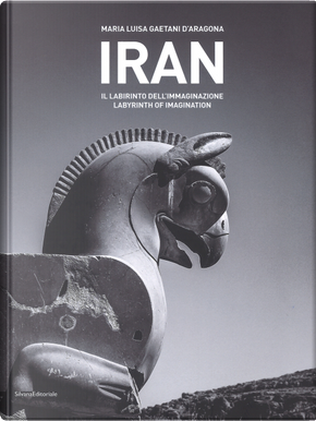 Iran. Il labirinto dell'immaginazione. Ediz. italiana e inglese by Maria Luisa Gaetani D'Aragona