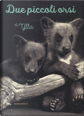 Due piccoli orsi by Ylla