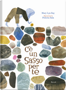C'è un sasso per te by Felicita Sala, Mary Lyn Ray