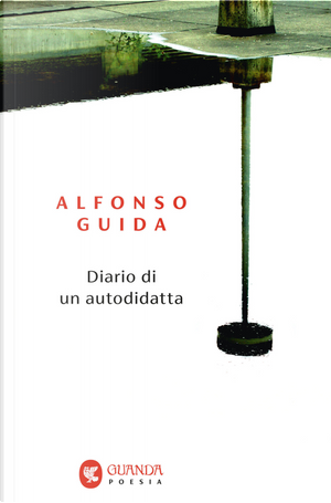 Diario di un autodidatta by Alfonso Guida
