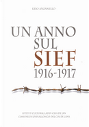 Un anno sul Sief 1916-1917 by Ezio Anzanello