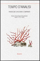 Tempo d'analisi. Paradigmi junghiani comparati. Rivista di psicologia del profondo. Vol. 2