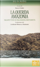 La Querida Amazonia. Prospettive di una nuova Cristianità