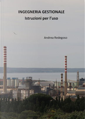 Ingegneria gestionale. Istruzioni per l'uso by Andrea Giovanni Redegoso