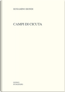 Campi di cicuta by Beniamino Biondi