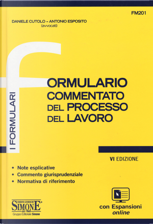 Formulario commentato del processo del lavoro by Antonio Esposito, Daniele Cutolo