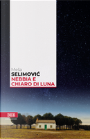 Nebbia e chiaro di luna by Mesa Selimovic