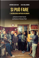 Si può fare. L'accoglienza diffusa in Europa by Antonio Silvio Calò, Silke Wallenburg