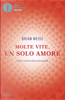 Molte vite, un solo amore. L'eterno incontro delle anime gemelle by Brian L. Weiss