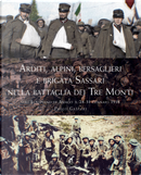 Arditi, alpini, bersaglieri e Brigata Sassari nella Battaglia dei Tre monti sull'Altopiano di Asiago il 28-31 gennaio 1918 by Paolo Gaspari