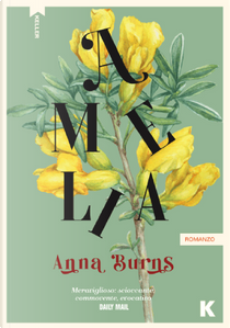 Amelia by Anna Burns
