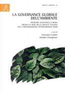 La governance globale dell'ambiente. Incontro scientifico a Roma presso la sede della Società Italiana per l'Organizzazione Internazionale (SIOI)