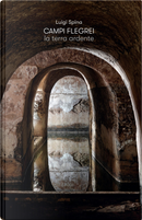 Campi Flegrei. La terra ardente by Fabio Pagano, Luigi Spina