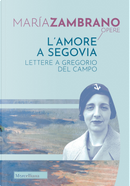 L'amore a Segovia. Lettere a Gregorio del Campo by María Zambrano