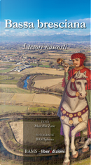 Bassa bresciana. I tesori nascosti by Marcello Zane