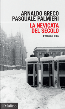 La nevicata del secolo by Arnaldo Greco, Pasquale Palmieri