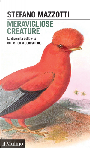 Meravigliose creature. La diversità della vita come non la conosciamo by Stefano Mazzotti
