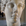 MythoSalotto