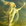Fantasy Recommendations