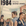 Gruppo "1984"