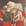 Letture di Natale